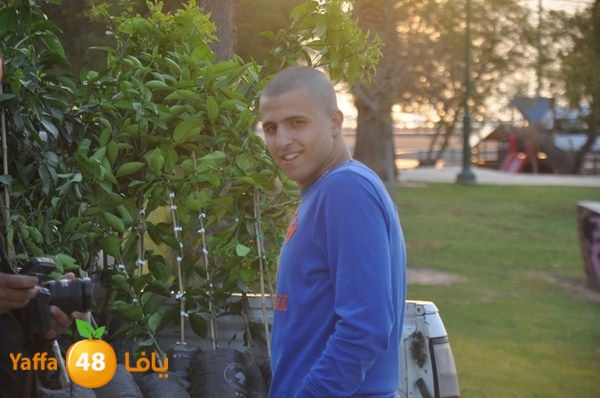 trees yaffa jamhairea (38).JPG